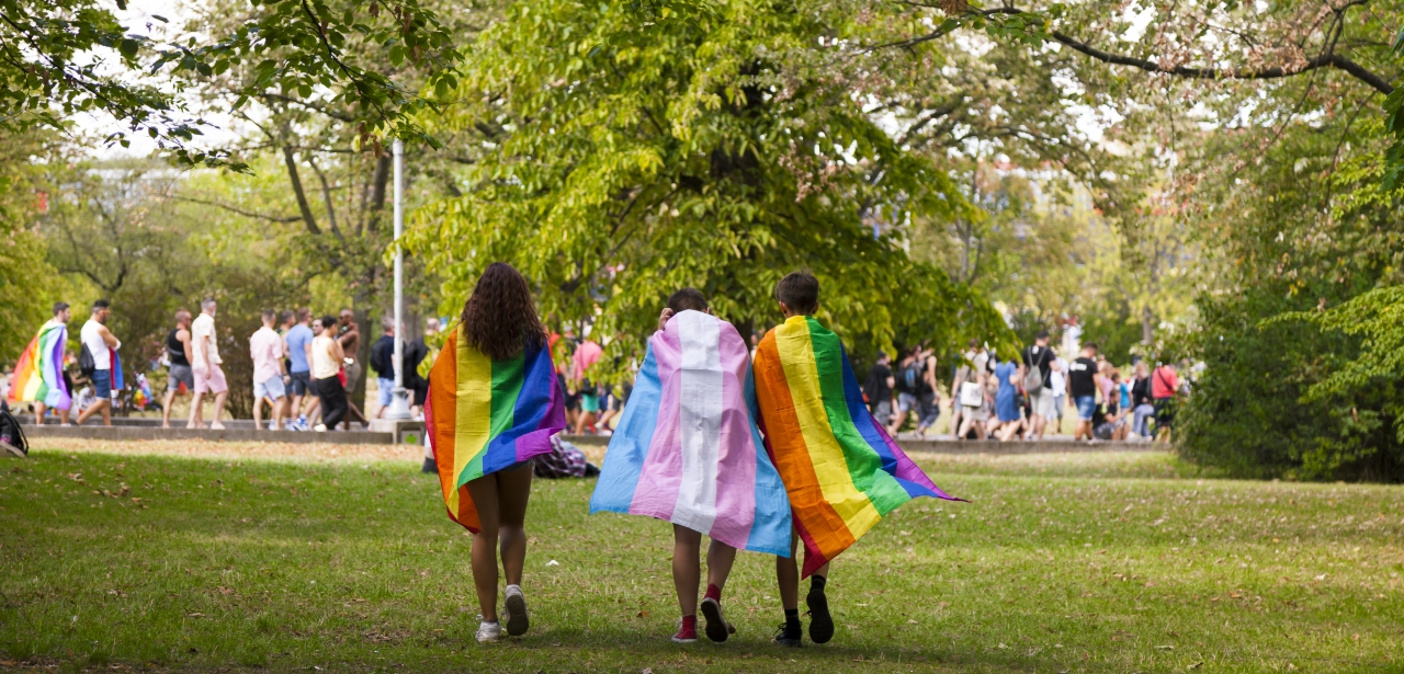 Three people in a park cloaked in rainbow flags